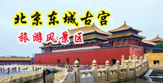 撕黑丝强插视频在线观看中国北京-东城古宫旅游风景区